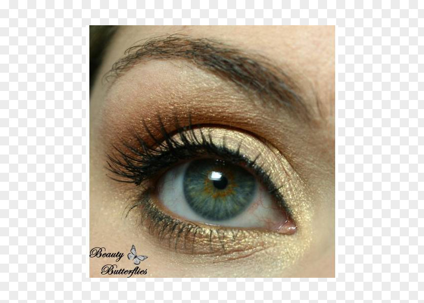 Lashes Eyelash Extensions Eye Shadow Liner Cosmetics PNG