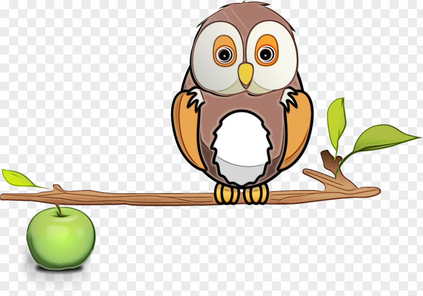 Plant Bird Of Prey Owl Cartoon Clip Art Branch PNG