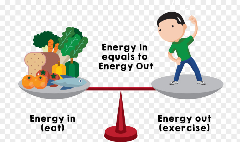 Balanced Nutrition Calorie Basal Metabolic Rate Energy Homeostasis Clip Art PNG