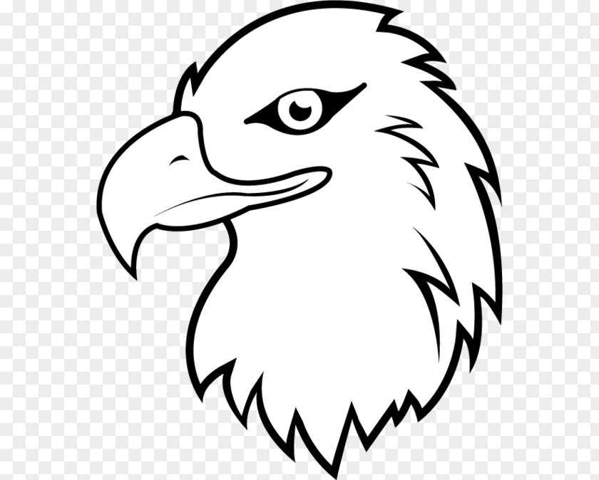 Cute Eagle Bald White-tailed Cartoon Clip Art PNG