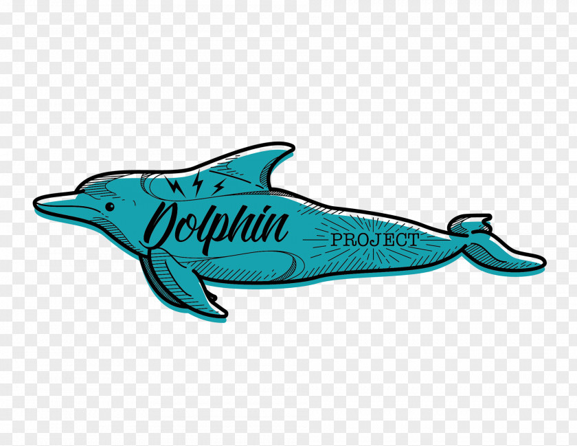 Dolphin Common Bottlenose Rough-toothed Short-beaked Tucuxi Taiji PNG