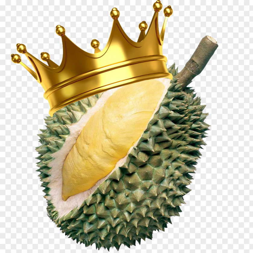 Durio Zibethinus Fruit Durian Custard Davao PNG