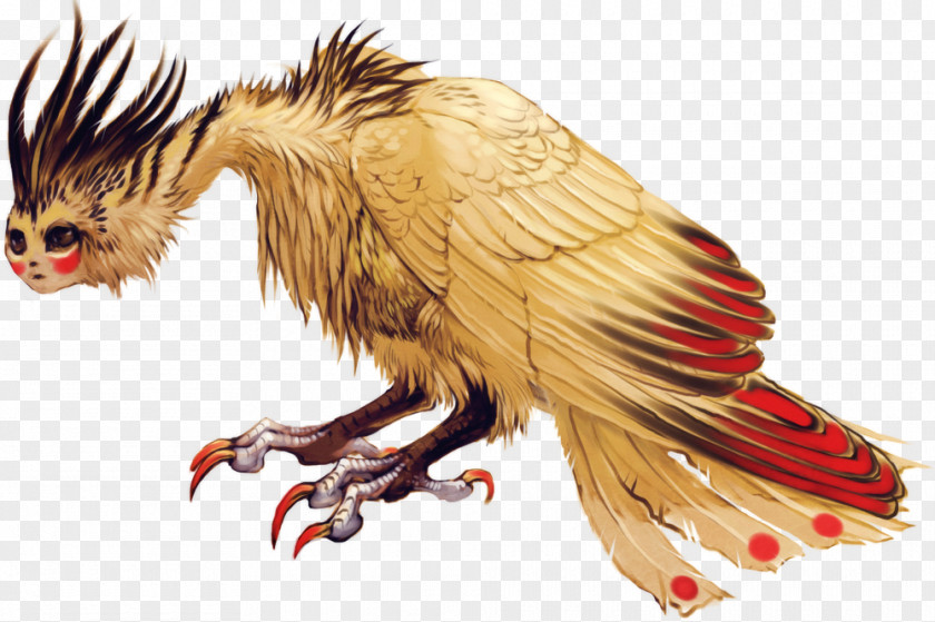 Eagle Manx Cat Feather Sylveon Pokémon PNG