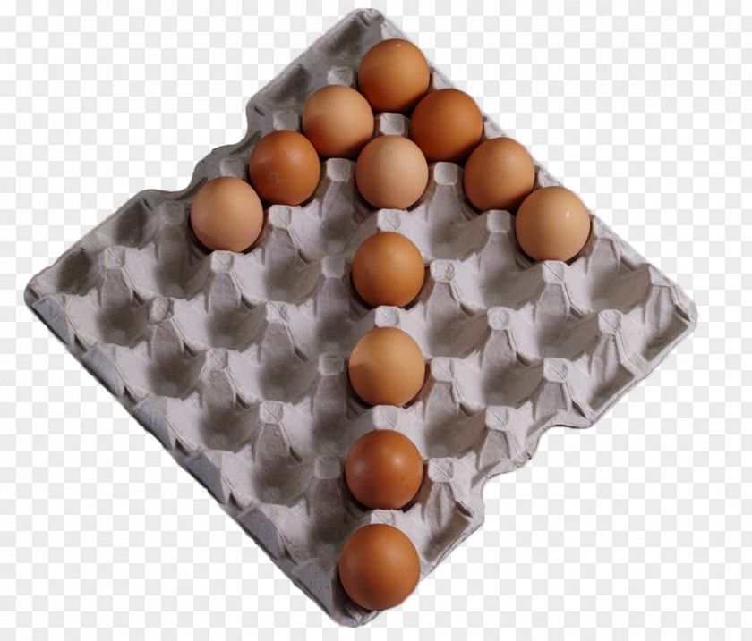 Egg Paddle Packing Tray Paper Chicken Carton Packaging And Labeling PNG