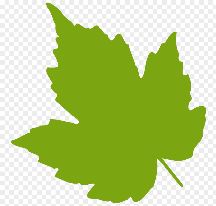 Green Leaf Clipart Grape Leaves Grapevines Clip Art PNG