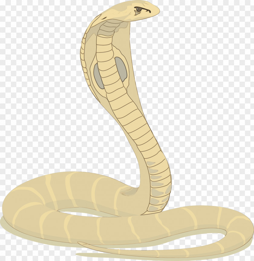 Indian Cobra Rattlesnake Mambas Snakes Vipers PNG
