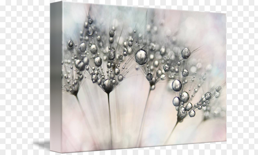 Jewellery Gallery Wrap Canvas Stock Photography Art PNG