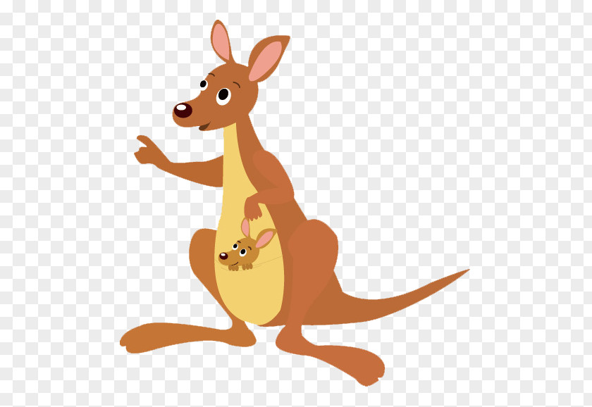 Mom Kangaroo Koala Boxing Child Illustration PNG