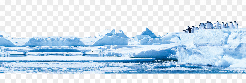 Penguins On Glacier Antarctic Iceberg PNG