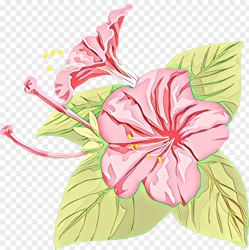 Rosemallows Clip Art Flower Japanese Morning Glory Petal PNG