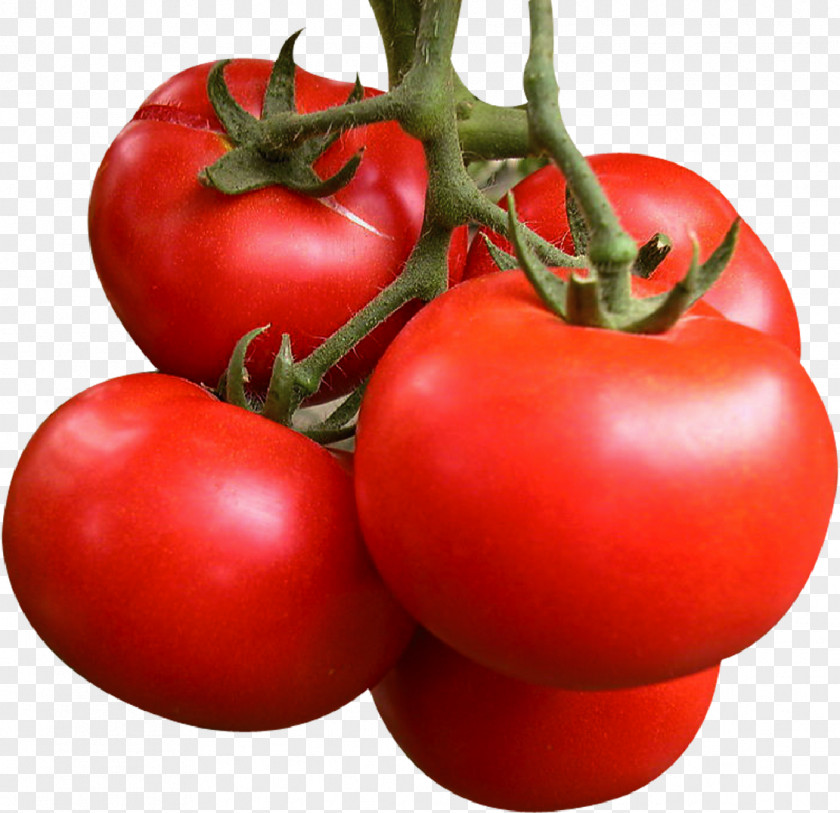 Vector Tomato Organic Food Bhurta Baingan Bharta Seed PNG
