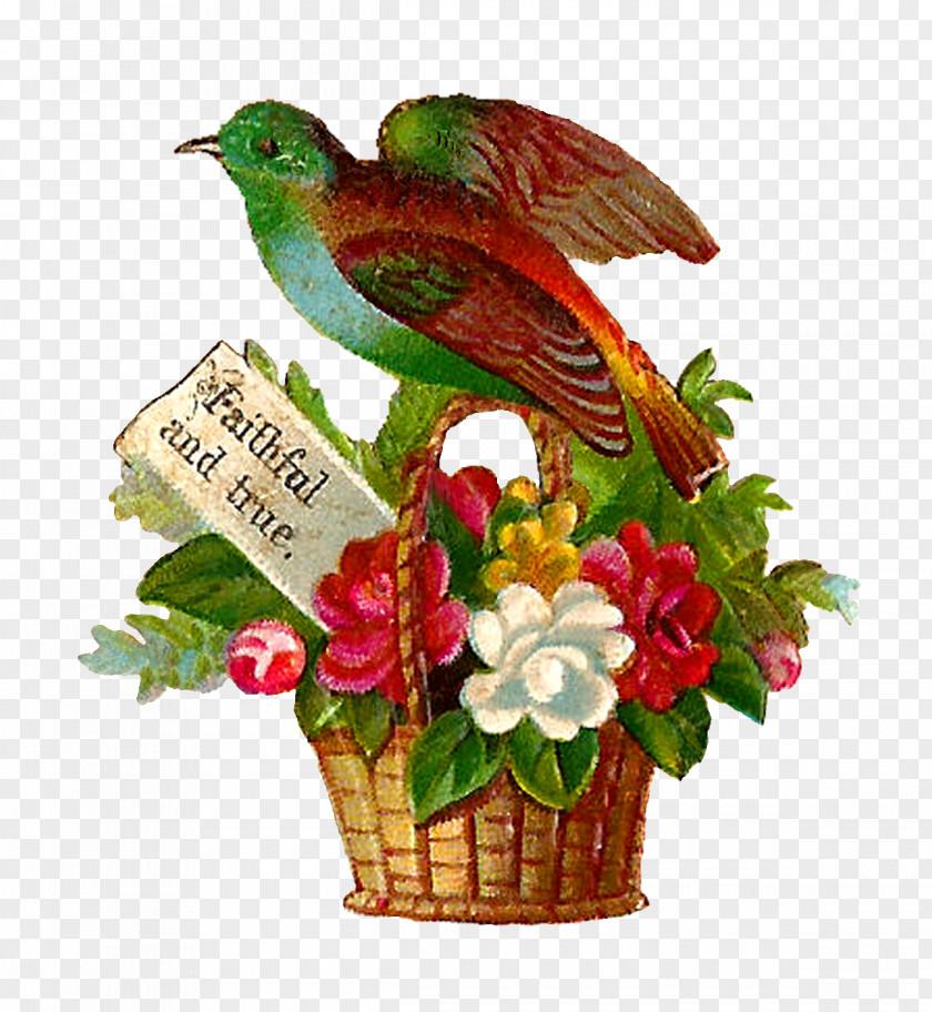 Bird Flower Floral Design Gift PNG