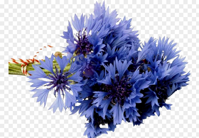 Flower Bouquet Desktop Wallpaper Cornflower Blue PNG