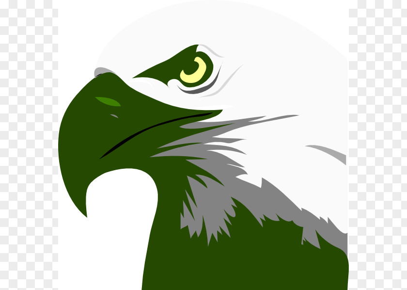 Green Eagle Cliparts Bald Clip Art PNG