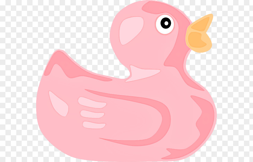 Livestock Ducks Geese And Swans Pink Bird Rubber Ducky Water Cartoon PNG