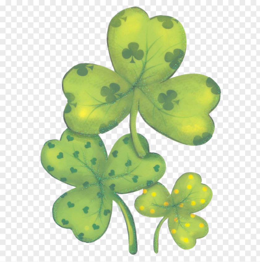 Saint Patrick Patrick's Day Shamrock Flower Symbol PNG