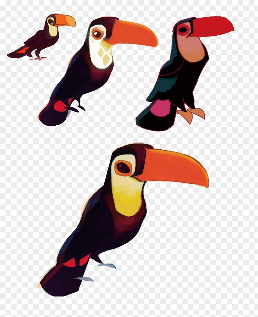 Vector Big Bird Toucan Download PNG