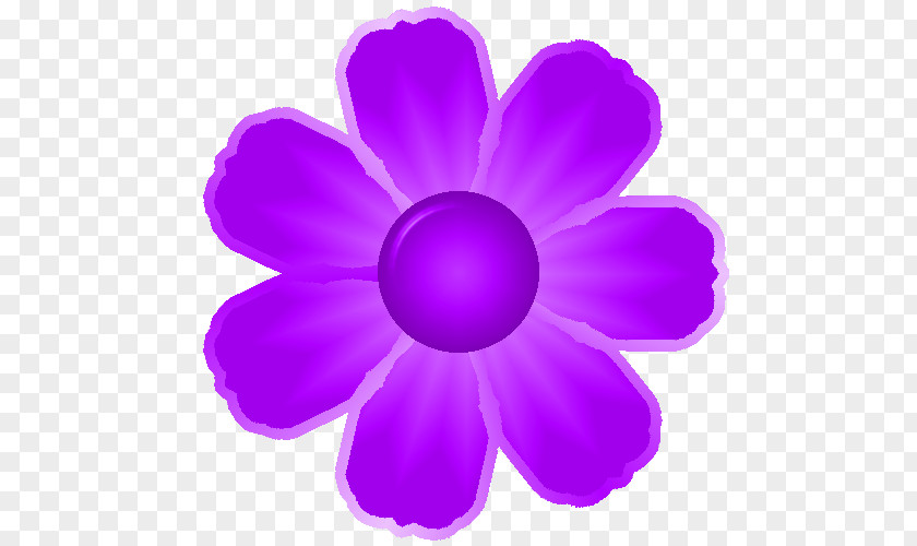 Wildflower Magenta Violet Purple Petal Pink Flower PNG