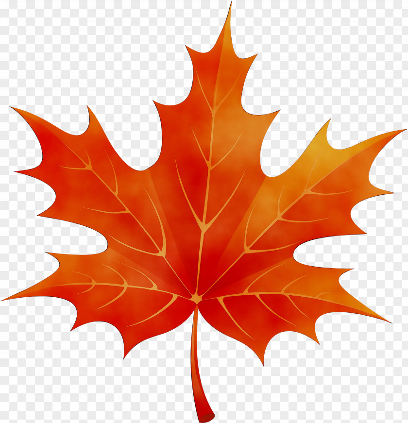 Clip Art For Fall Image Tattoo PNG
