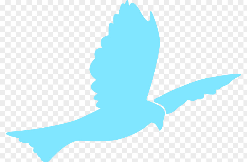 Dove Of Peace Doves As Symbols Clip Art PNG
