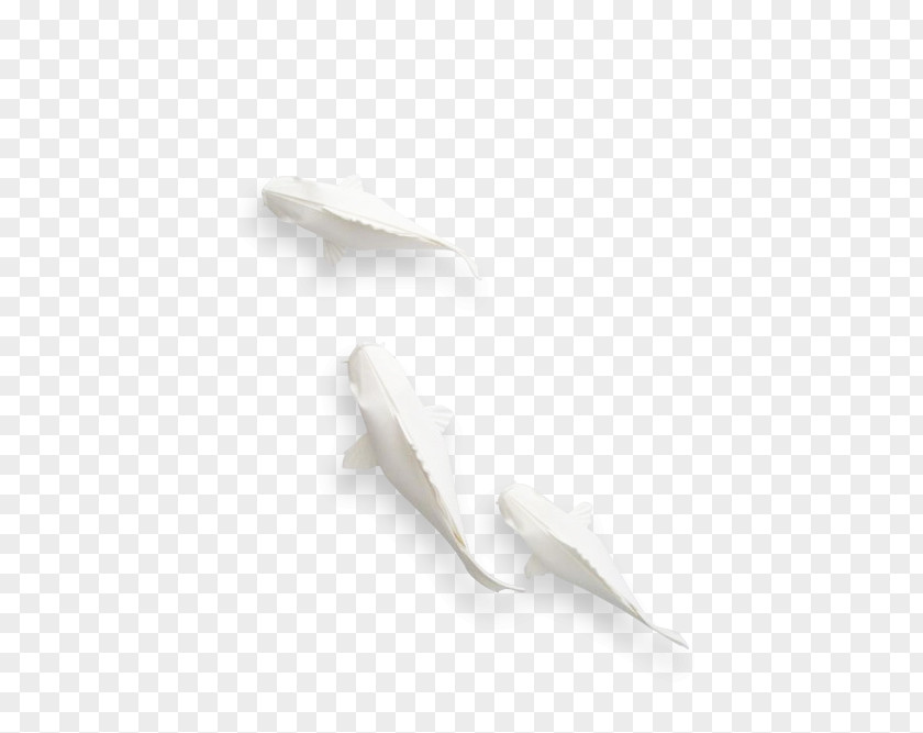Hollywood Undead Logo Koi White Carp Feather PNG