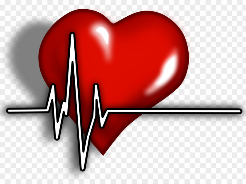 Htn Cliparts Electrocardiography Medicine Heart Clip Art PNG