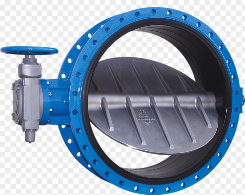 Iron Gate Butterfly Valve Check Ductile PNG