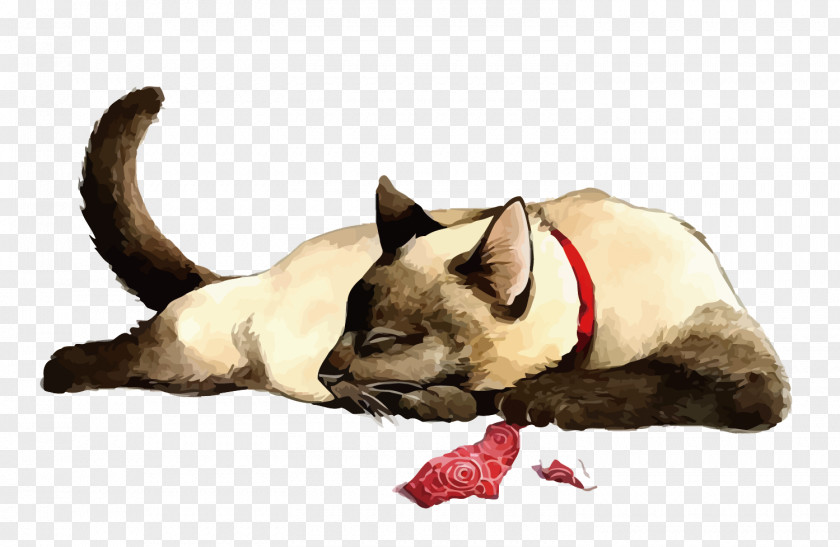 Vector Siamese Cat Kitten Tiger Drawing PNG