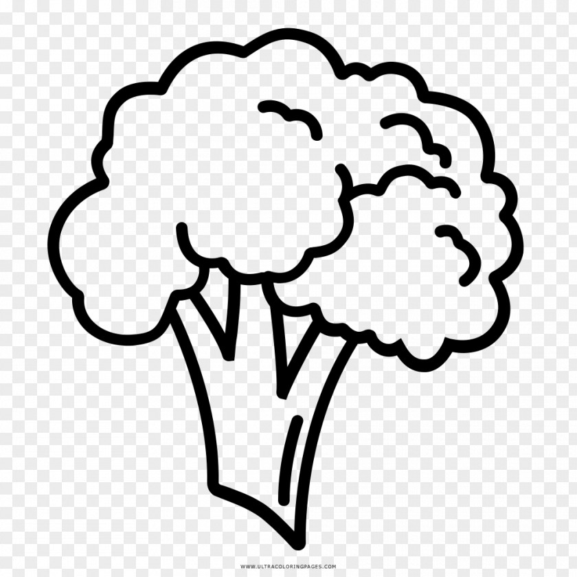Broccoli Drawing Coloring Book Line Art PNG