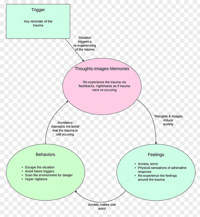 Cycle Paper Organization PNG