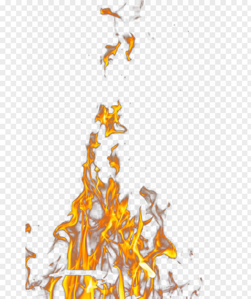 Free Wildfire Creative Decorative Buckle Flame Illustration PNG