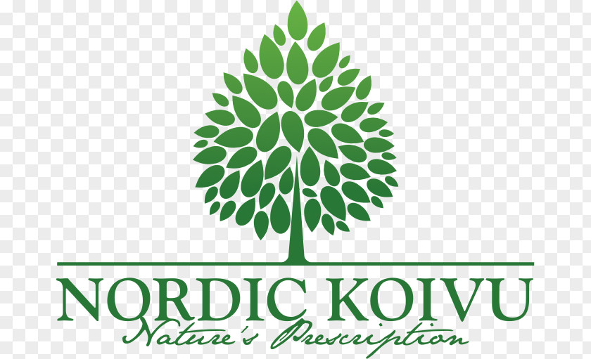 Juice Birch Sap Food Nordic Koivu Oy PNG