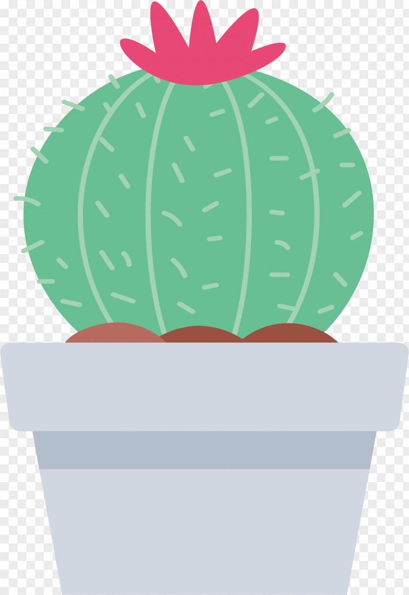 Lovely Flowering Cactus Cactaceae Euclidean Vector Clip Art PNG