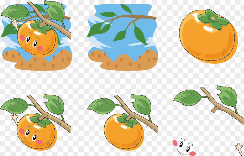 Persimmon Tree Expression Vector PNG
