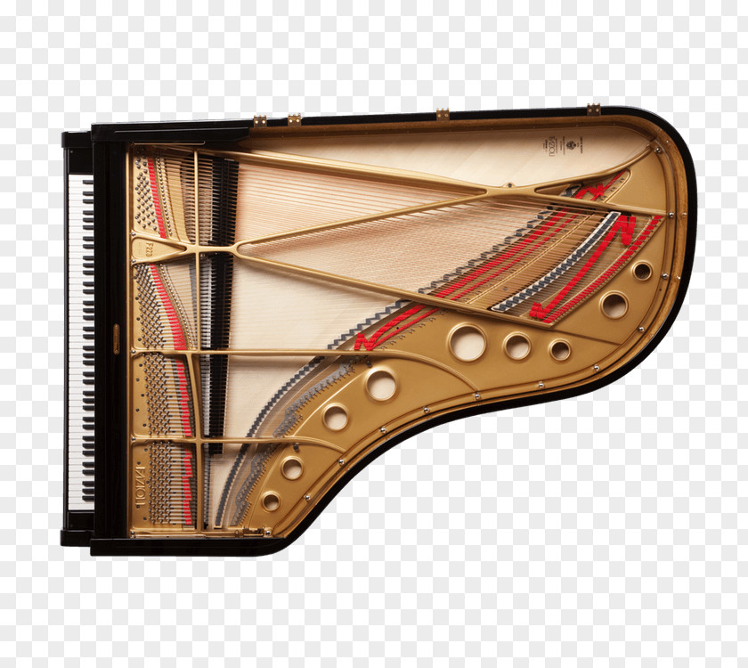 Piano Grand Fazioli Musical Instruments Pianist PNG