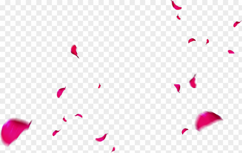 Pink Petals Falling Petal Gratis Designer PNG