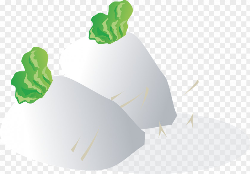 Vegetable Daikon Rutabaga Turnip Clip Art PNG