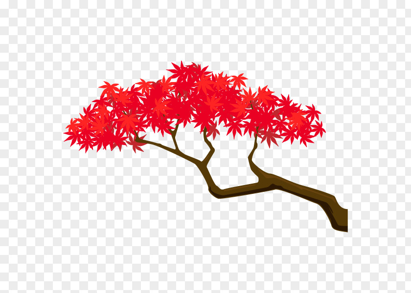 Branch Illustration Maple Plants Tree PNG
