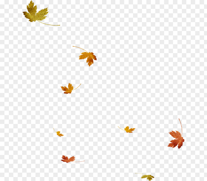 Falling Leaves PNG leaves clipart PNG