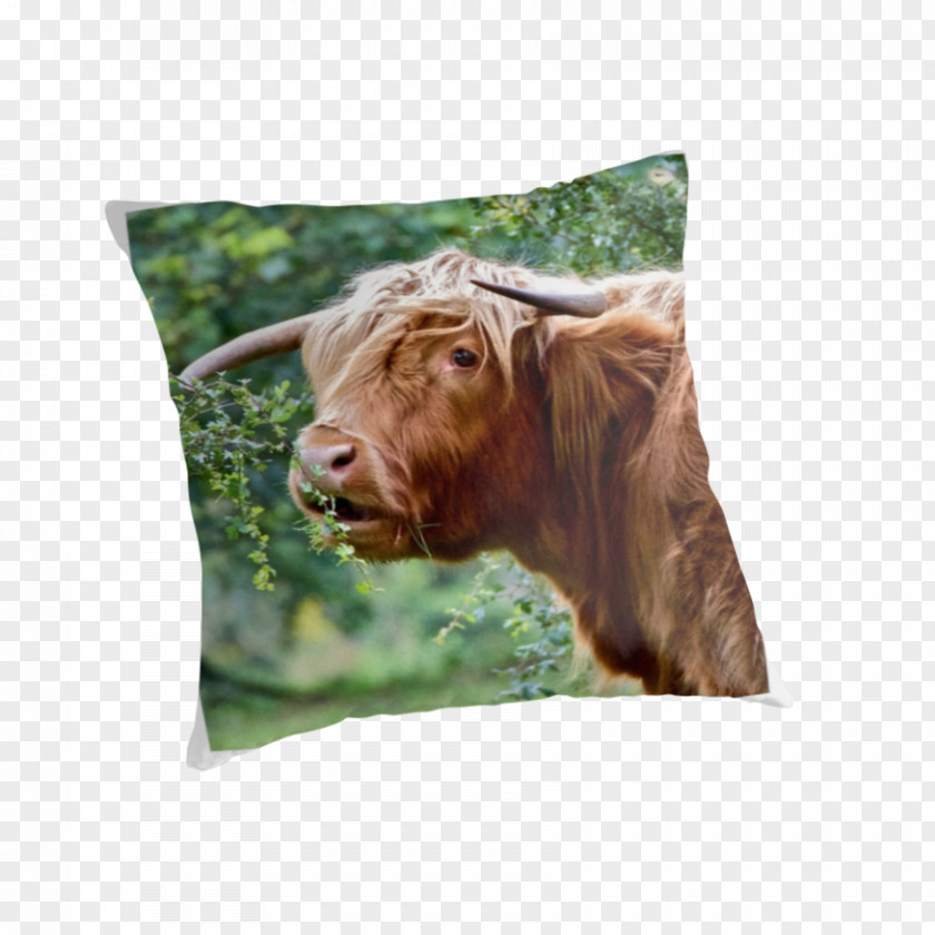 Highland Cow Cattle Cushion Pillow Wildlife Snout PNG