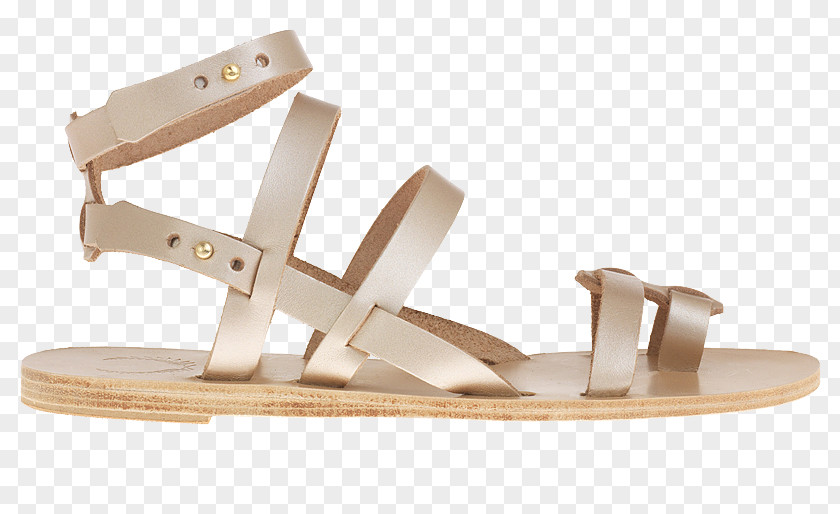 Sandal Slide Shoe Eleusis Foot PNG