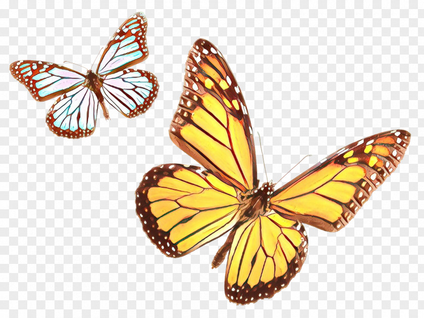 Animal Figure Symmetry Monarch Butterfly PNG