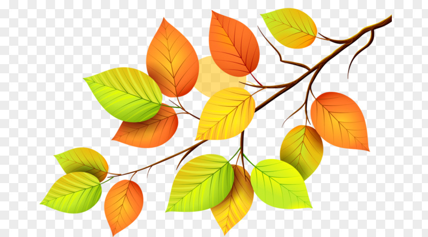 Autumn Leaves Paper Leaf PNG