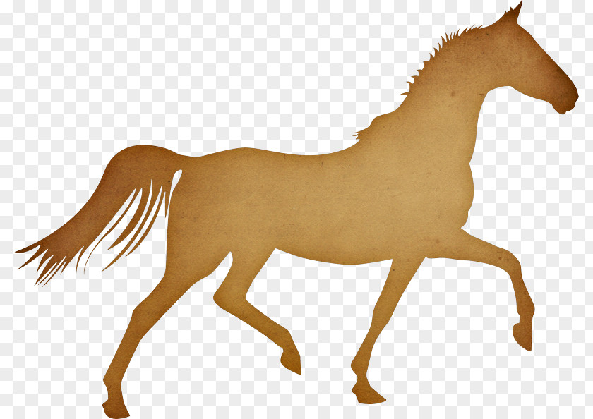 Cap Pony Arabian Horse Trot Equestrian PNG