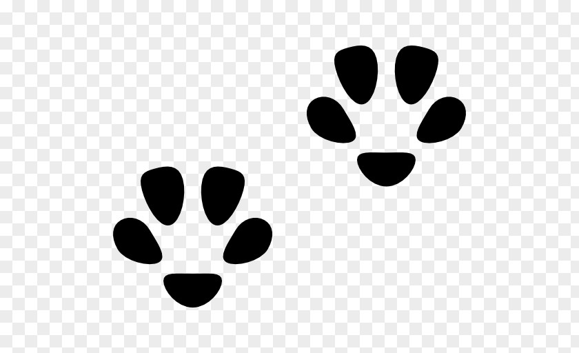 Cat Footprint Dog Paw Felidae PNG