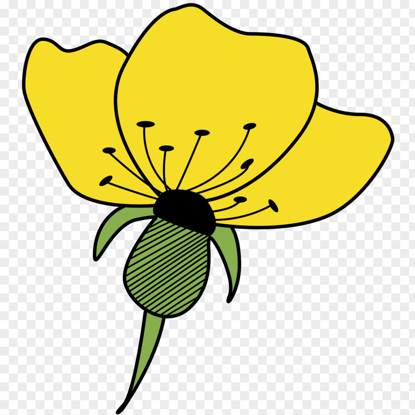 Clip Art Cut Flowers Image Drawing PNG