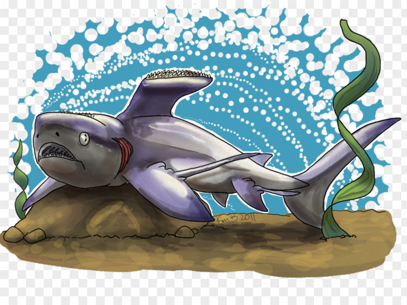 Frilled Shark Dolphin Stethacanthus Drawing Marine Mammal PNG