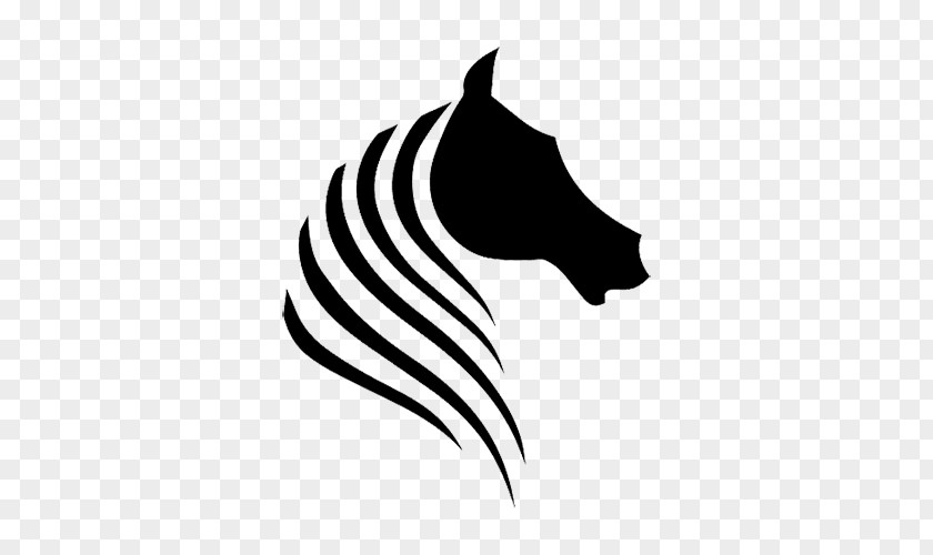 Horse Logos Graphic Design PNG