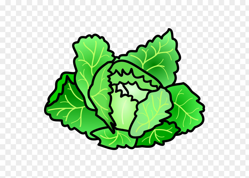Ogs Greens Leaf Cabbage Clip Art Vegetable PNG