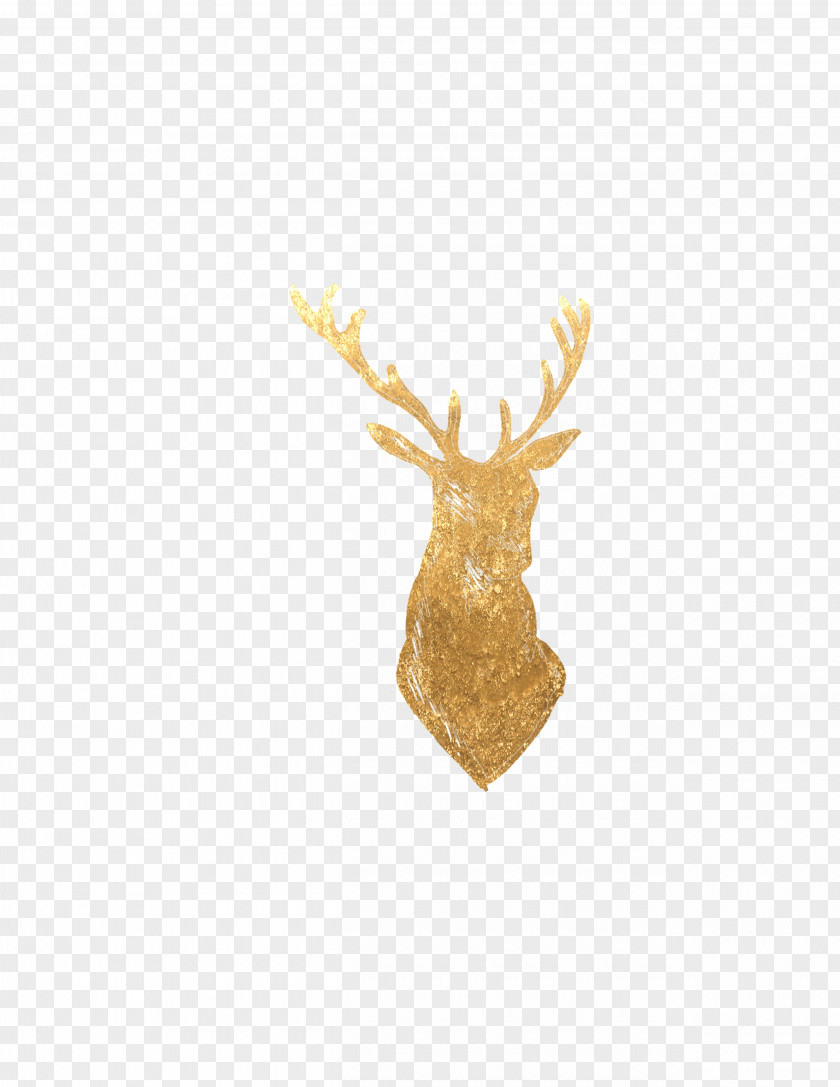 Streetlight Flash Tattoo Reindeer Antler PNG